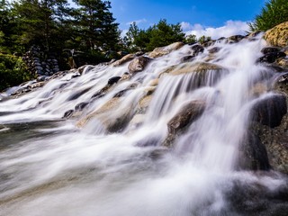 Fototapeta premium 夏が来た