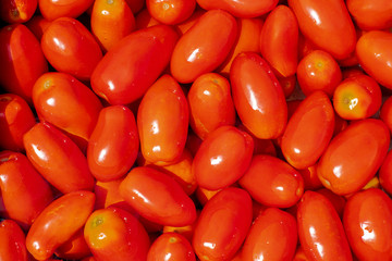 bunch of red ripe tomatoes, wash vegetables, tomato harvest season, home canning, traditional recipes