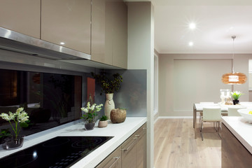 Interior shot of modern and luxury kitchen design