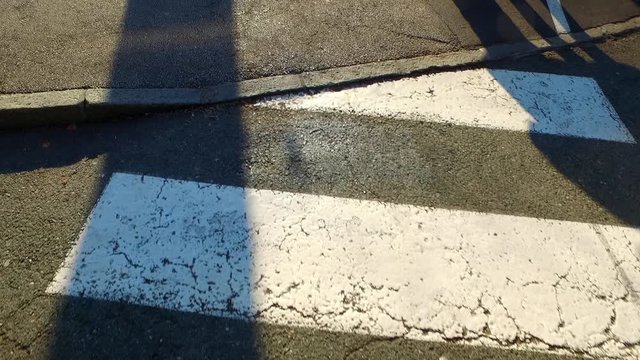 Walking lowly over the zebra crossing.