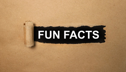 fun facts. text on black paper on torn paper