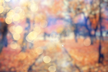 blurred background autumn forest, abstract art sunny autumn park, glow yellow october view - obrazy, fototapety, plakaty
