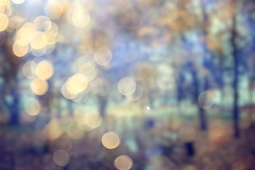 blurred background autumn forest, abstract art sunny autumn park, glow yellow october view