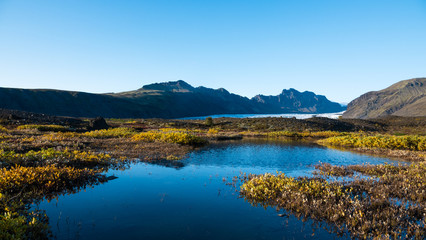 Fototapeta na wymiar Iceland landscape