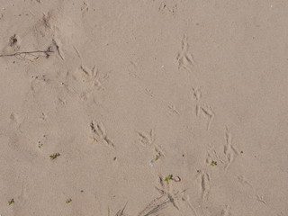 texture of sand