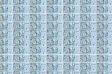 5 Ukrainian hryvnias bills printed in money production conveyor. Collage of many bills. Concept of...