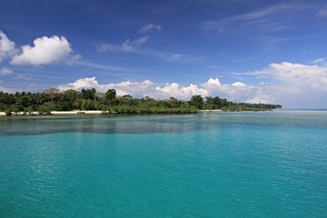 View of the Coast of Neil Island. Andaman and Nicobar Islands. India. Asia.