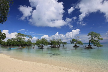 View of the Coast of Neil Island. Andaman and Nicobar Islands. India. Asia.