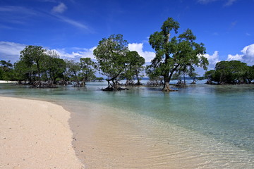 View of the Coast of Neil Island. Andaman and Nicobar Islands. India. Asia.