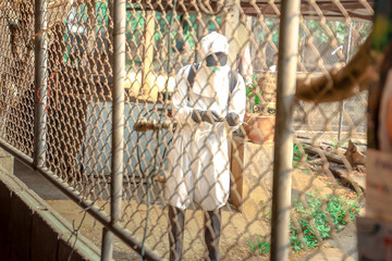 Officers enter the area to spray disinfectants. To prevent the spread of COVID-19