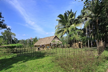 Fototapeta premium Dwelling on Neil Island. Andaman and Nicobar Islands. India. Asia.