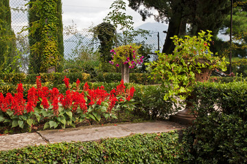 View of garden in Cadenabbia. Italy