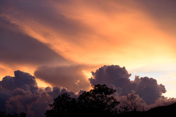 Sky with clouds during sunset above the tree