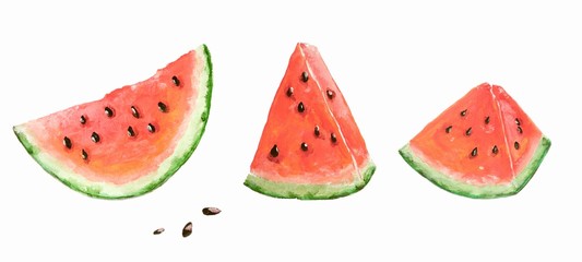 Slices of watermelon isolated on a white background. Painted with acrylic paints. Can be used to create wrapping paper, phone cases, wallpapers, fabrics, fashion prints.