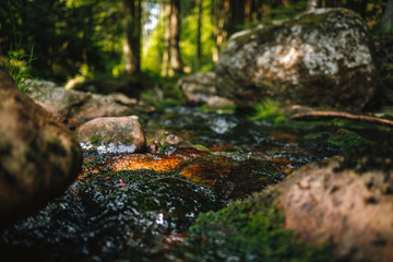 water of the river Weißer Main flows through a creek bed with stones in the Fichtelgebirge