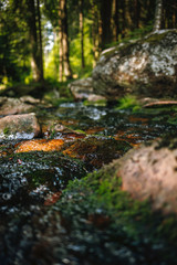 water of the river Weißer Main flows through a creek bed with stones in the Fichtelgebirge