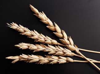 Wheat on black