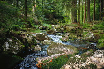 water of the river Weißer Main flows through a creek bed with stones in the Fichtelgebirge