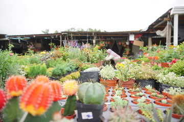 Kota Kinabalu Sabah Malaysia Various things on sale at Kota Kinabalu market