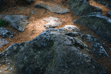 Closeup shot of big rocks in the middle of the woods

