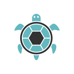 .bicolor tortoise icon, graphic illustration from Pet-vet collection, for web and app design