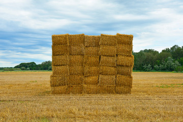 Square haystacks in a square arrangement on the north east Italian wetlands near Marina Julia, Friuli-Venezia Giulia
