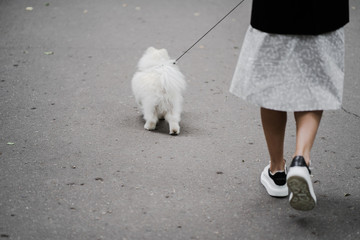 young woman walking with dog