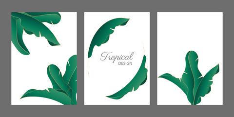 Tropic leaves background. Eps10 vector template.