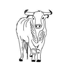 vector illustration freehand sketch animal bull on isolated background, sketch cattle, symbol of 2021