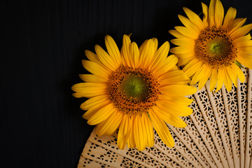yellow sunflowers with a wooden texture fan on a dark background
