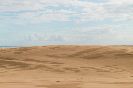 Two People At The Distance On The Desert.