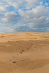 Fototapeta na wymiar Footsteps on an empty desert.