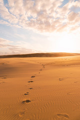 Desert sunset view with footsteps.
