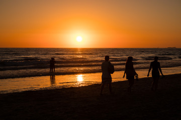 Fototapeta premium Silhouettes of people taking photos at sunset on the beaches of Cadiz, Spain
