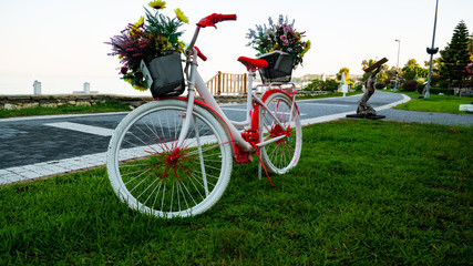 Fototapeta premium Colorful bicycle with flowers with green grass