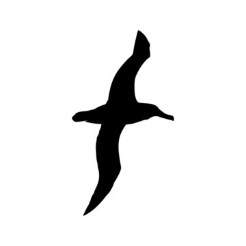 recommend clip art: Albatros silhouette vector art animal