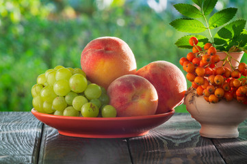 Still life of peach grapes and rowan berries on a wooden table after harvest