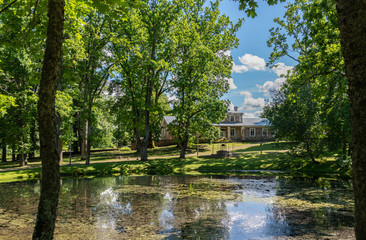 estonian summer landscape