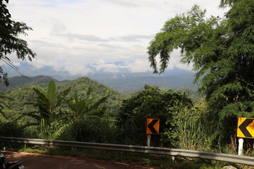 mountain road in the mountains