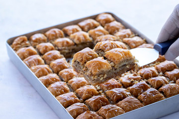Baklava with walnut standing on the tray