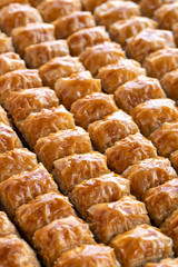 Baklava with walnut standing on the tray