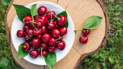 Fresh ripe cherries in white plate on wood stump on nature colorful background in the garden.