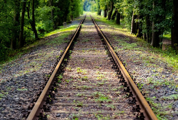 Obraz premium Gleis Eisenbahn Schiene Strecke Profil Bahndamm Wald Bäume Rost Unkraut Vegetation Deutschland Fluchtpunkt Perspektive Zug Nebenstrecke stillgelegt Sinnbild Zukunft Nostalgie Vergangenheit Ära Natur 