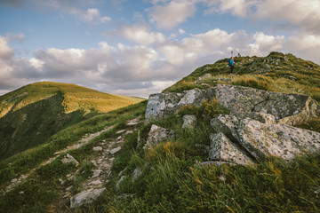 A close up of a hillside next to a rock