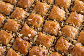 Baklava with walnut standing on the tray