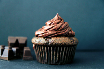 chocolate chip muffin on a dark background
