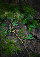 vintage key on moss  background. magical beautiful key, concept secret garden. mystery nature...