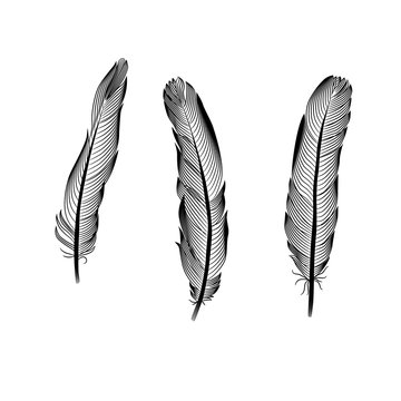 The collection of eagle feathers is drawn in black ink on a white background. Isolated vector elements for laser cutting, engraving, printing, template. Wild bird feather design is hand drawn.