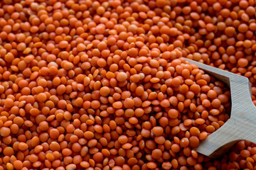 uncooked red lentils - close up