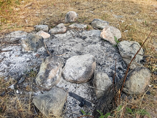 ashes in the forest